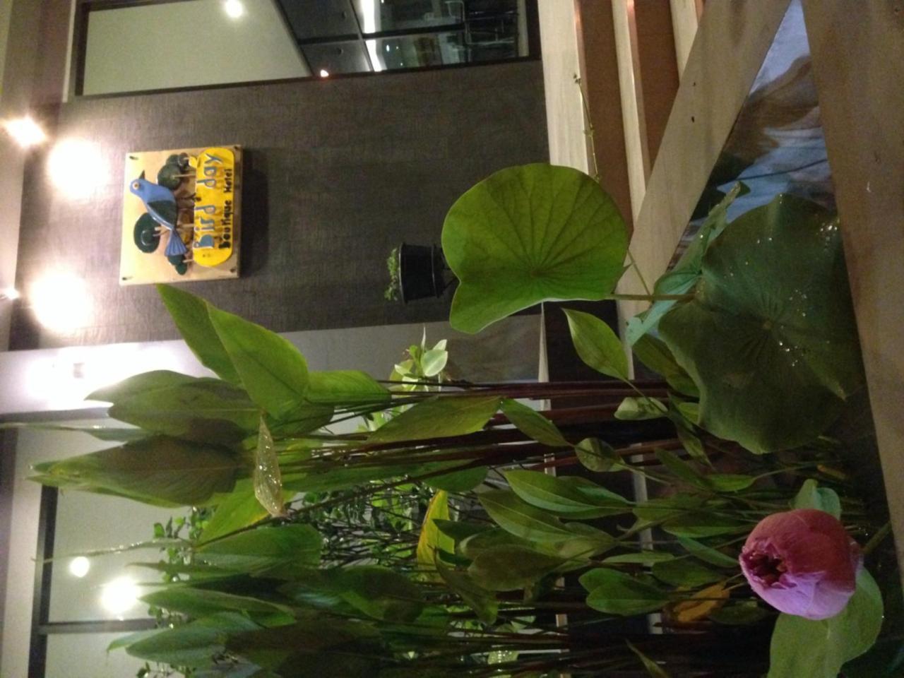 Bird Day Boutique Hotel Mukdahan Εξωτερικό φωτογραφία